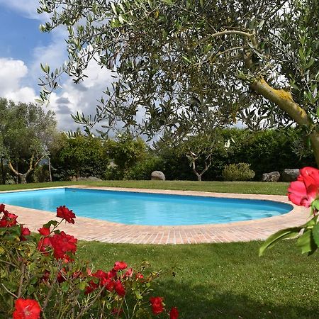 La Cavetta Country House Trevignano Romano Eksteriør billede