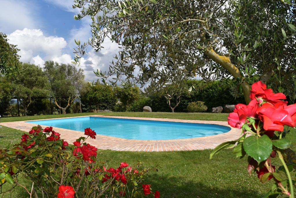 La Cavetta Country House Trevignano Romano Eksteriør billede
